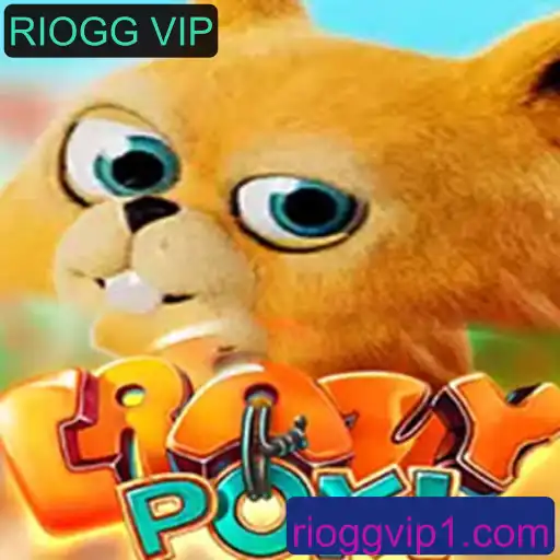 Explorando o Mundo de CrazyPoki: Um Jogo Inovador