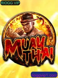 MuayThai: Explorando o Jogo 